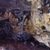 Obrázek č. 7, Znaczki Turystyczne, No. 625 Jaskinia Łokietka w Ojcowie